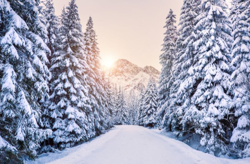 Découverte des plus beaux paysages d'hiver au monde